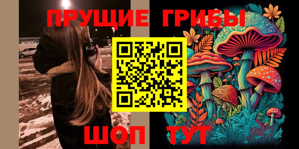 купить  сайты  Вход с VPN  Муравленко  Псилоцибиновые грибы Cubensis  Галлюциногенные грибы мицелий 